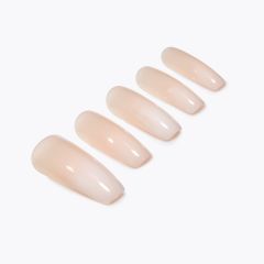 Ardell Nail Addict Eco Mani French Ombre