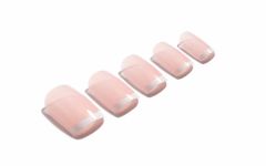Set of Ardell Nail Addict Micro French color variant lay in a white color scene