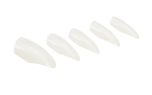A set of Ardell Nail Addict Premium Artificial Nail with Clear Natural color in stiletto shape laid down  in 45 degree angle
