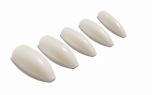 Set of Ardell Nail Addict in Natural Ballerina Long variant lay in 45-degree angle