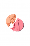 BLUSH ME HARDER_ ROUGE - SEXT ME BACK / LIFE OF THE PARTY (SHEER PEACH / SHEER PINK)