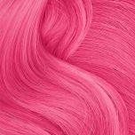 Front view of a B Wild Temporary Hair Color Spray Lynx Pink 3.5 ounce spray featuring a bright pink cap