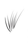 Ardell Stroke A Brow Feathering Pen Soft Black strokes on white background featuring stroke shape